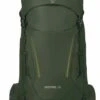 Osprey KestrelZaino Da TrekkingBonsai Green Uomo Zaini E Borse SR244E02H-N11 -Montavia Avventura Negozio 15fc090c9e3c4a239adb6a20464e47da