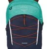 Osprey Quasar - Zaino - Reverie Green Cetacean Blue