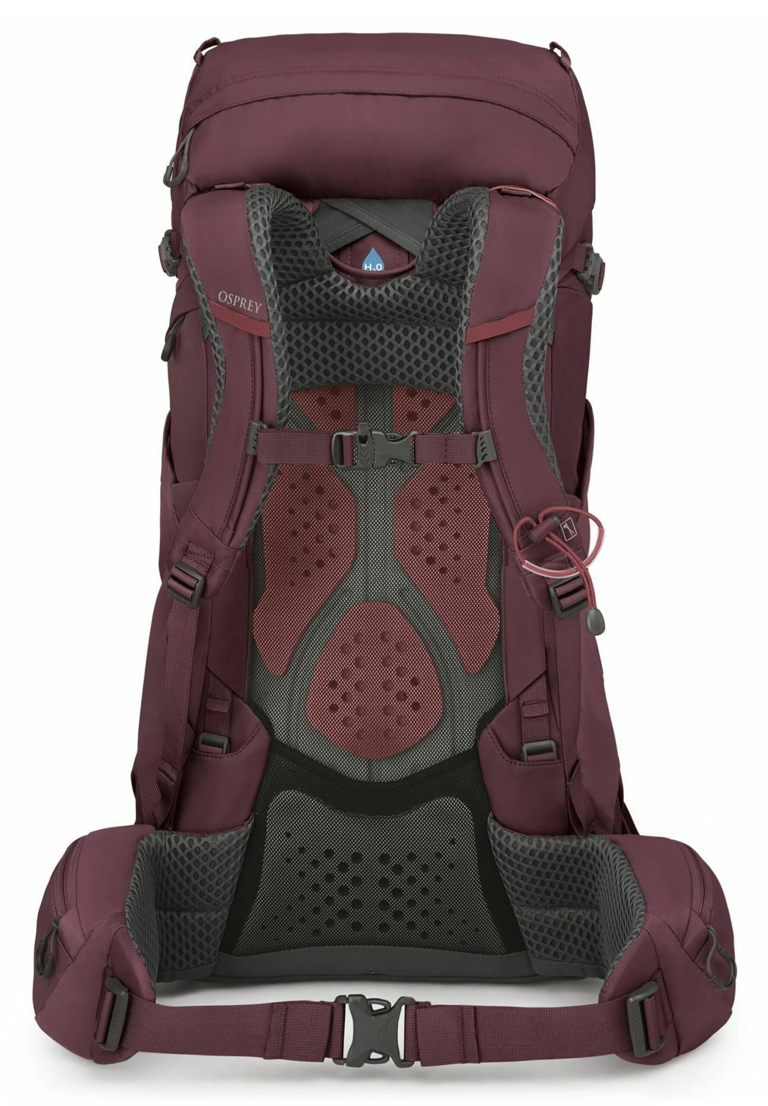 Osprey Kyte 38 Xs-S 71 CmZaino Da TrekkingElderberry Purple Uomo Zaini E Borse SR244E02R-G11 4 Osprey Kyte 38 Xs-S 71 CmZaino Da TrekkingElderberry Purple Uomo Zaini E Borse SR244E02R-G11 - immagine 2