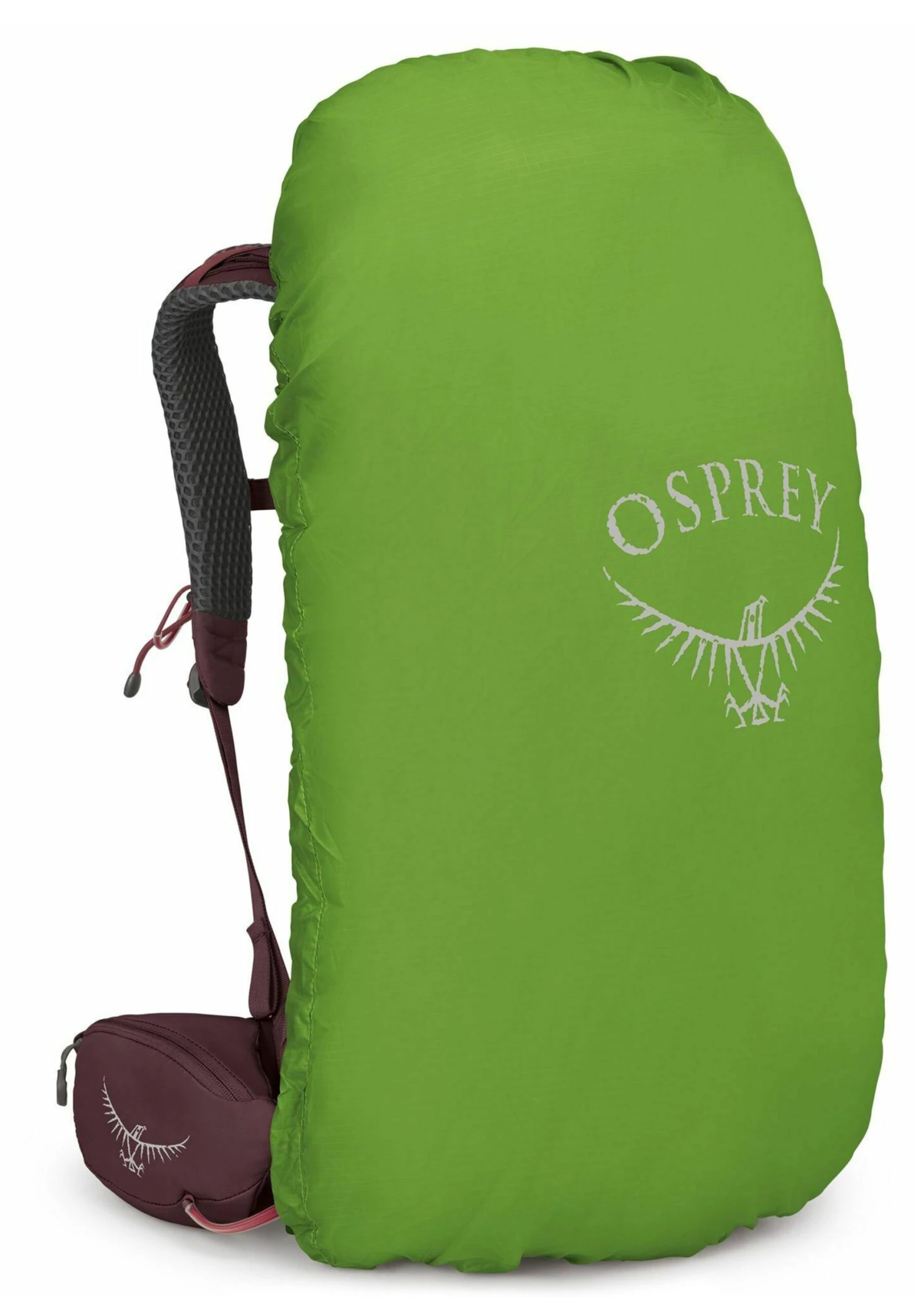 Osprey Kyte 38 Xs-S 71 CmZaino Da TrekkingElderberry Purple Uomo Zaini E Borse SR244E02R-G11 5 Osprey Kyte 38 Xs-S 71 CmZaino Da TrekkingElderberry Purple Uomo Zaini E Borse SR244E02R-G11 - immagine 3