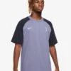 Nike Performance Tottenham Hotspurs Travel Top SsT-Shirt BasicIron Purple/Marine/Pure Violet Uomo Abbigliamento N1242D5UL-I11 -Montavia Avventura Negozio e64e037ad2cc4b72a92a687123baa7e2