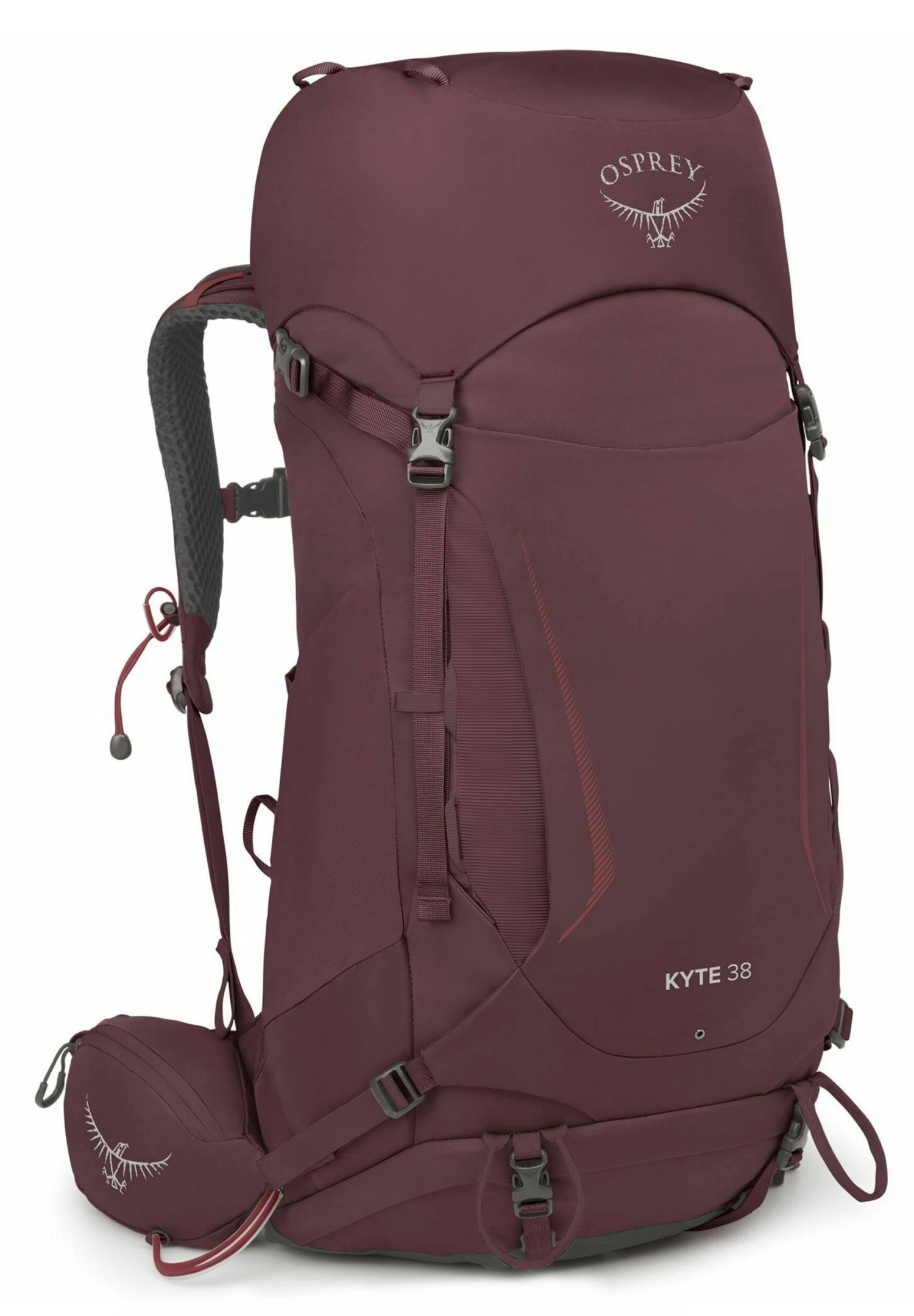 Osprey Kyte 38 Xs-S 71 CmZaino Da TrekkingElderberry Purple Uomo Zaini E Borse SR244E02R-G11 6 Osprey Kyte 38 Xs-S 71 CmZaino Da TrekkingElderberry Purple Uomo Zaini E Borse SR244E02R-G11 - immagine 4