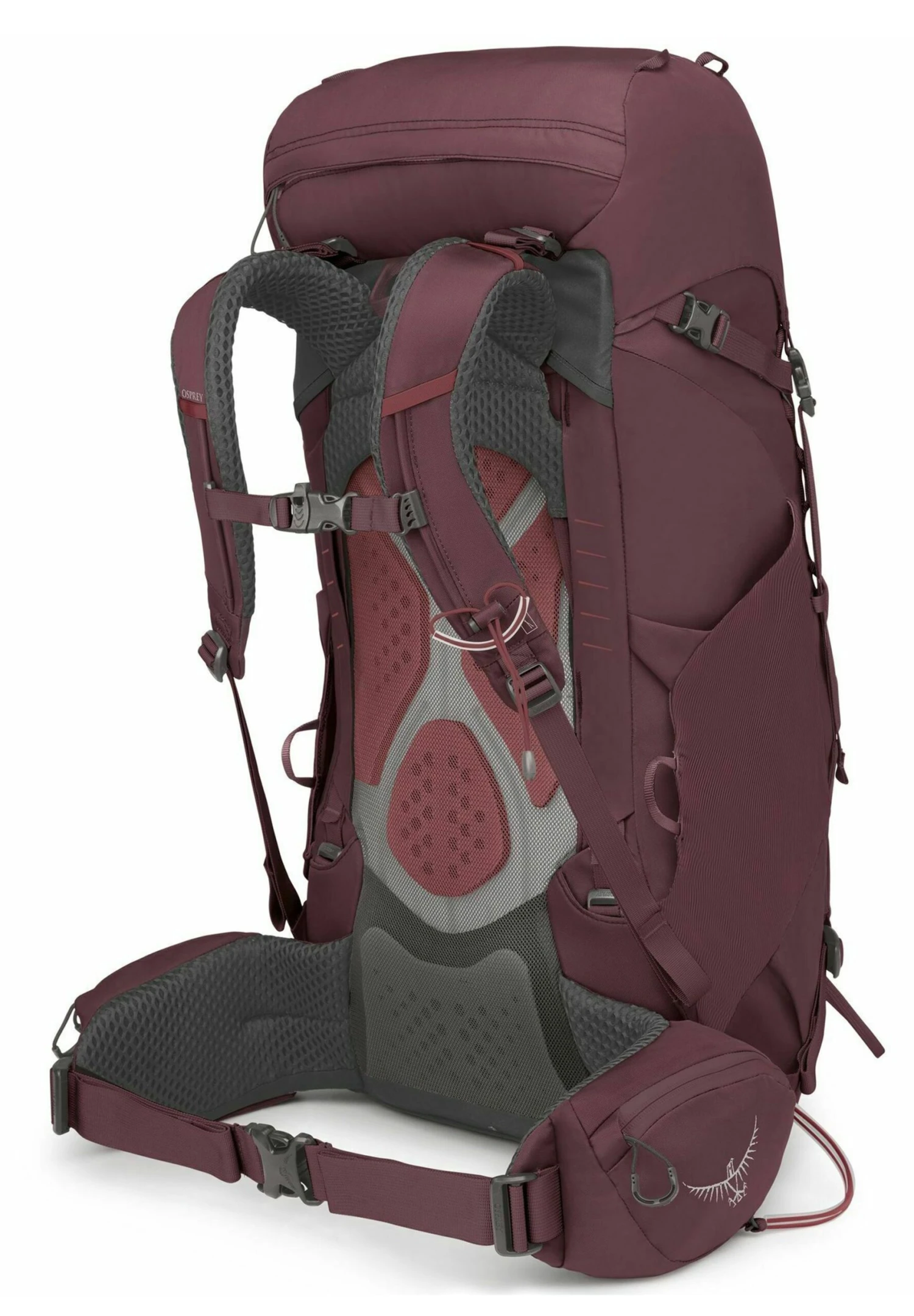 Osprey Kyte 38 Xs-S 71 CmZaino Da TrekkingElderberry Purple Uomo Zaini E Borse SR244E02R-G11 7 Osprey Kyte 38 Xs-S 71 CmZaino Da TrekkingElderberry Purple Uomo Zaini E Borse SR244E02R-G11 - immagine 5
